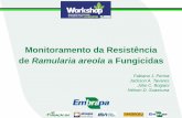 Monitoramento da Resistência de Ramularia areola a Fungicidasfundacaoba.com.br/.../12/monitoramento-r-rmularia-fungicidas-f-peri… · I. Fungicidas de Contato/Multissítios Formam