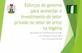 Esforços do governo para aumentar o investimento do setor ... · 1. Intervenções Políticas (cont.) O Programa de Tomadores Âncora do BCN para desenvolvimento do setor de arroz