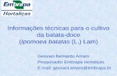 Informações técnicas para o cultivo da batata-doce · 2015-02-04 · Informações técnicas para o cultivo da batata-doce (Ipomoea batatas (L.) Lam)Geovani Bernardo Amaro Pesquisador