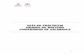 GUÍA DE PRÁCTICUM - guias.usal.esCTICAS_2020-2021_0.pdf · 2 Índice 1. introducciÓn .....4 2. normativa y otras orientaciones .....4