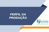 PERFIL DA PRODUÇÃO - Siamig · Etanol –Produção anual de Minas Gerais Bioeletricidade –produção anual –2018 87,5 bilhões de latas de Coca-cola 612 bilhões de cafezinhos