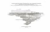 UNIVERSIDADE FEDERAL DE UBERLÂNDIA · Área de concentraÇÃo: geografia e gestÃo do territÓrio base conceitual e metodolÓgica do plano nacional de logÍstica e transportes (pnlt):
