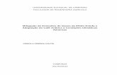 Mitigação de Emissões de Gases de Efeito Estufa e ...repositorio.unicamp.br/bitstream/REPOSIP/256826/1/... · Projeções do IPCC (2007) para as áreas tropicais brasileiras indicam