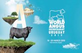 Resumen de costos - Sociedad de Criadores de Aberdeen ...angusuruguay.com/world-angus-secretariat-uruguay... · 3. Taxa de inscrição da gira prévia (lunes 18 al sábado 23 marzo)