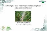 Estratégias para minimizar contaminação do trigo por ...abitrigo.com.br/congresso-2019/apresentacoes/congresso-abitrigo... · Impactos Ocorrência Reduzir contaminação Tópicos