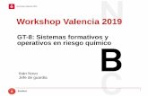 Workshop Valencia 2019 - Consorci Provincial de Bombers de ... · GT-8: Sistemas formativos y operativos en riesgo químico Propuesta formativa: Estudio de detalle de los 10-12 productos