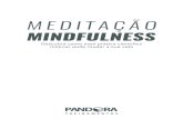 MEDITAÇÃO - Pandora · não é meditação. O sânscrito não deve ser traduzido, no máximo in-terpretado, mas o estado de Dhyana seria algo como “o não uso da mente”. Meditar