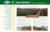 newsletter - Carmo · Estes são apenas alguns exemplos das obras emblemáticas que fizemos em 2012 e 2013 ao longo de Portugal, que neste momento já contabilizam algumas centenas