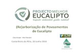 (Re)arborização de Povoamentos de Eucalipto · 2016-06-27 · Regime jurídico das arborizações e (re)arborizações (Re)arborização de Povoamentos de Eucalipto, Mortágua,
