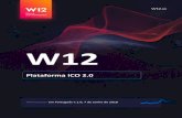 W12 - diego.rs · conveniente, que reduza os riscos e aumente a rentabilidade da aquisição de projetos na fase inicial. A plataforma W12 procura possibilitar que um projeto atraia