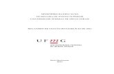“RIO_DE_GE… · MINISTÉRIO DA EDUCAÇÃO SECRETARIA DE ENSINO SUPERIOR UNIVERSIDADE FEDERAL DE MINAS GERAIS RELATÓRIO DE GESTÃO DO EXERCÍCIO DE 2012 Relatório de Gestão do