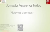 Jornada Pequenos Frutos · 2020-06-03 · CALDA BORDALESA SAPEC (Colletotrichum gloeosporioides) sulfato de cobre 1250-2500g p.c./hl (250-500g s.a./hl) 7 FU SAPEC 1818 MIRTISUL 15/06/2012