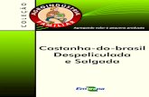 C.L - Castanha-do-Brasil Despeliculada e Salgadaainfo.cnptia.embrapa.br/digital/bitstream/item/55502/1/A... · 2017-07-12 · amêndoa extraída do ouriço é conhecida como castanha-do-brasil