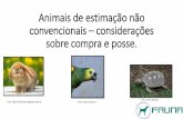 Animais de estimação não convencionaisfauna.vet.br/site/.../EBOOK-Animais-de-estimação-não-convencionais... · Animais que pertencem a espécies que, por meio de processos de