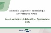Salmonella: Diagnósticos e metodologias aprovadas pelo ...asgav.com.br/_arquivos/29_11_2018/Ana_Cristina_MAPA.pdf · Salmonella: Diagnósticos e metodologias aprovadas pelo MAPA
