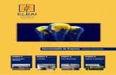 Apresentação da Empresa - EIBLDA · Apresentação da Empresa Company Presentation. Identificação da Empresa Uma empresa do grupo ELBAI - Montagens Eléctricas de Bairro, Lda.
