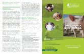 Instituto Superior de Agronomia | Conhecimento e Inovação · no panorama agro-pecuário nacional, näo só a nivel da produçäo como da estimulaçäo e consolidaçäo do Desenvolvimento
