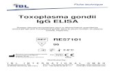 Toxoplasma gondii IgG ELISA - ibl-international.com · Toxoplasma gondii est le parasite le plus commun chez l'homme, mais son abondance (7-80%) dépend fortement de la région géographique,