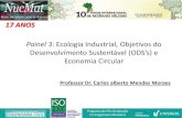 : Ecologia Industrial, Objetivos do Desenvolvimento ......Painel 3: Ecologia Industrial, Objetivos do Desenvolvimento Sustentável (ODS’s) e Economia Circular Professor Dr. Carlos