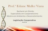 Prof.ª Ediane Muller Vianaaulas.verbojuridico3.com/Pos_Gestao/Gestao_Projetos_Sociais_Aula… · • Destituir os dirigentes quando por corrupção, incompetência, má administração.