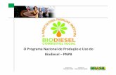 O Programa Nacional de Produção e Uso do Biodiesel – PNPBProjeto Pólos de Biodiesel 65 PÓLOS DE PRODUÇÃO DE OLEAGINOSAS COM 150.000 AF MAPEADOS E MOBILIZADOS Projeto Pólos