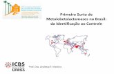Primeiro Surto de Metalobetalactamases no Brasil: da ... · da Identificação ao Controle Problemas Identificados 1. Adesão aos protocolos de Higiene de Mãos 2. Elevada pressão