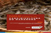 PLANO DE DESENVOLVIMENTO DA CARCINICULTURA DO …...II. MARCO DE REFERÊNCIA DO PLANO A. O Estado do Maranhão – Momento Atual. B. O Plano de Desenvolvimento da Carcinicultura e