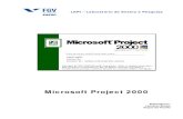 Microsoft Project 2000 - Educacionalpessoal.educacional.com.br/up/3670002/686835/Ms Project FGV.pdf · Microsoft Project 2000 FGV-EAESP LEPI 5 PLANEJAMENTO Antes de iniciar um projeto,