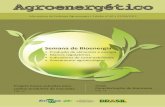 Semana de Bioenergia - COnnecting REpositories · de Bioenergia, em conjunto com o Global Bioenergy Partnership (GBEP), o Ministério das Relações Exteriores e o Ministério da