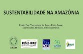 SUSTENTABILIDADE NA AMAZÔNIA€¦ · Profa. Dra. Therezinha de Jesus Pinto Fraxe Coordenadora do Núcleo de Socioeconomia SUSTENTABILIDADE NA AMAZÔNIA