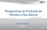 Perspectivas de Produção de Petróleo e Gás Natural · •Estabelece a Política de E&P, define suas diretrizes e orienta o planejamento e a realização das Rodadas: i) Incentivar
