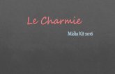 Le Charmie - eaish.com.br · Mídia Kit 2016 Le Charmie. O Blog O Blog Le Charmie foi criado com o objetivo de ajudar aos leitores a se conectarem cada vez mais ao mercado da moda,