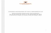 CAPEMISA SEGURADORA DE VIDA E PREVIDÊNCIA S/A … · 2020-06-18 · SEGURADORA DE VIDA E PREVIDÊNCIA S/A. (“Seguradora”) em 30 de junho de 2018, o desempenho de suas operações