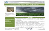 Boletim Meteorológico para a Agricultura€¦ · Boletim Meteorológico para a Agricultura Janeiro 2011 Produzido por Instituto de Meteorologia, ... No período entre 23 e 30, ...