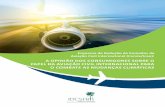 A opinião dos consumidores sobre o pApel dA AviAção civil ... · 2 A opinião dos consumidores sobre o papel da aviação civil internacional para o combate as mudanças climáticas