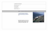 026 “() Caminho de ferro no alto douro” - helena pina · 2013-01-30 · Alguns reflexos da implantação do caminho de ferro no Alto Douro no final do século XIX Maria Helena
