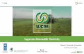 Sugarcane Renewable Electricity · • 2005 –2015 →2,74 para 1,37 bilhões de toneladas de CO 2 eq →Redução de 50% nas emissões totais ... entregue no próximo Fenasucro.