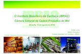 O Instituto Brasileiro da Cachaça(IBRAC) · - Sr. Cristiano Lamêgo – Presidente (Sindbebidas/MG)-10 empresas (destilação descontínua) - 10 empresas (destilação contínua)