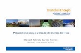 Perspectivas para o Mercado de Energia Elétrica Manoel ... · Microsoft PowerPoint - 150209 BTG Pactual CEO Conference - Tractebel Energia - Zaroni Author: ivani Created Date: 2/10/2015