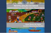 REVITALIZAÇÃO DA BACIA HIDROGRÁFICA DO RIO SÃO … · Reflorestamento de Nascentes, Margens e Áreas Degradadas do São Fr ancisco 2.617.043 1.184.987 1.845.116 - - - - - - -