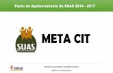 META CIT - Secretaria de Igualdade e Assistência Socialigualdade.sorocaba.sp.gov.br/pmas/wp-content/... · META 12 - Existência de serviços para a população em situação de
