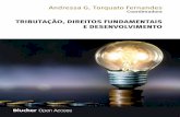 FERNANDES TRIBUTAÇÃO, DIREITOS FUNDAMENTAIS E …pdf.blucher.com.br.s3-sa-east-1.amazonaws.com/openaccess/... · 2018-09-12 · Fernandes, Andressa Guimarães Torquato Tributação,