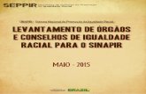 SINAPIR - Sistema Nacional de Promoção da Igualdade Racial …€¦ · 2 AM Manaus* Gerência de Promoção dos Direitos das Populações Negras e Povos Indígenas Rua: Ferreira