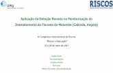 Apresentação do PowerPoint - RISCOS · Taxa de desflorestação em Angola • Estima-se que a taxa de desflorestação anual é de 0,4% →superfície superior a 150 mil hectares