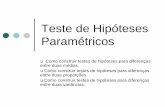 Teste de Hipóteses Paramétricos - CInrmcrs/ESAP/arquivos/TestesHip... · 2007-11-21 · Teste de Hipóteses Paramétricos Como construir testes de hipóteses para diferenças entre