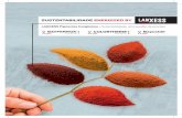 LANXESS Pigmentos Inorgânicos – …...exemplo, foi desenvolvido um processo ino-vador para o tratamento das águas de proces-sos contaminadas por ferro. Nesse processo é usada