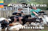 Criação de pequenos animais - AS-PTAaspta.org.br/files/2011/05/Agriculturas_v2n4.pdf · produção, gerando total dependência de insumos externos e alto custo energético, com