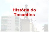 História do Tocantins · 2016-06-16 · Tocantins, vindo ter a ele ou dele saindo para os diversos quadrantes. As rodovias chegando a Palma, a Porto Nacional, a ... Com a tarefa