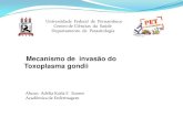 Mecanismo de invasão do Toxoplasma gondiifiles.petparasitologiaufpe.webnode.com.br/200000093-36e00375e7... · Toxoplasma gondii Aluna: Adélia Karla F. Soares Acadêmica de Enfermagem.