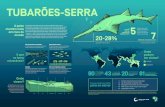 TUBARÕES-SERRA · 2019-10-29 · TUBARÕES-SERRA O peixe marinho mais em risco do mundo Os tubarões-serra fazem parte de um grupo reduzido de raias, que se assemelham a tubarões,